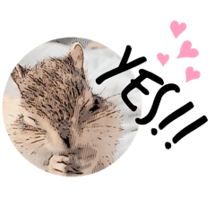 [LINEスタンプ] むぎぐらし あめこみ