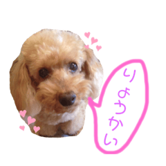 [LINEスタンプ] shimadanoinu