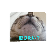 [LINEスタンプ] lovecat9