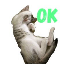 [LINEスタンプ] ももみ