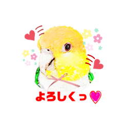 [LINEスタンプ] シロハラインコとニョオウインコ 2