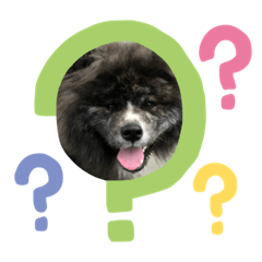 [LINEスタンプ] ryuga akitainu