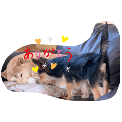 [LINEスタンプ] むぎ君マコ＆マミ姉さん
