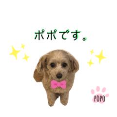 [LINEスタンプ] LEE POPO