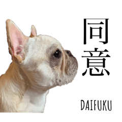 DAIFUKU  LOVE2
