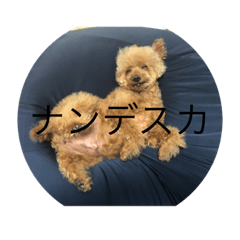 [LINEスタンプ] テンチャン