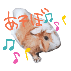 [LINEスタンプ] ゆるもる姫子Part2