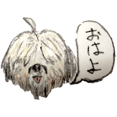 [LINEスタンプ] コロちゃま