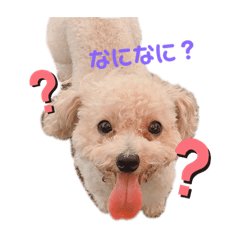 [LINEスタンプ] ベルちゃん②