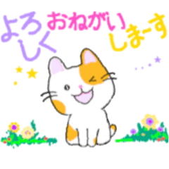 [LINEスタンプ] ねこのタマちゃんスタンプ