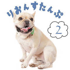 [LINEスタンプ] リオンスタンプ2byKumicco
