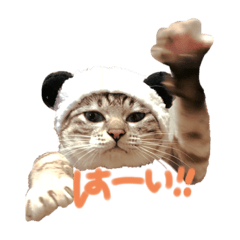 [LINEスタンプ] Q太