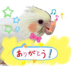 [LINEスタンプ] 我が家のかわいんこスタンプ