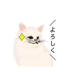 [LINEスタンプ] ＼ねこさん／