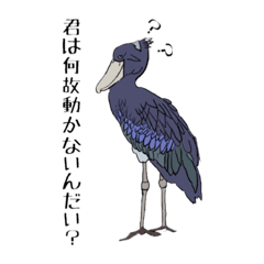 [LINEスタンプ] 動かない鳥 ハシビロコウ先輩