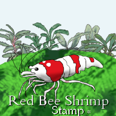 [LINEスタンプ] Red Bee Shrimp Sticker