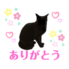 かなえギャラリー 癒しのスタンプ