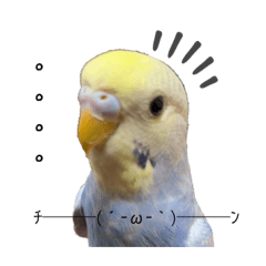 [LINEスタンプ] 我が家のかわいんこ2