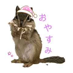 [LINEスタンプ] 小さなパートナー