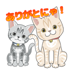 Amazing Cats Coco＆Suzu