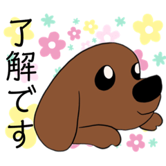 [LINEスタンプ] 先輩だわん