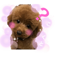 [LINEスタンプ] 今日のわん子