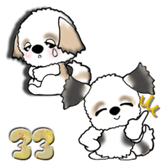 [LINEスタンプ] シーズー犬(怒・哀・開き直り)Vol.33