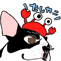 [LINEスタンプ] ボステリせいかつ