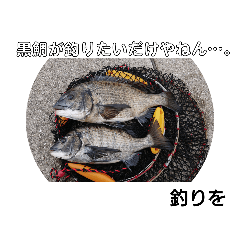海釣り ふかせ 黒鯛 チヌ 魚釣り スタンプ