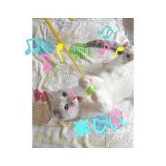 [LINEスタンプ] ゴマにゃんこ