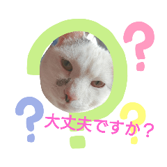 [LINEスタンプ] 我がゴマさん