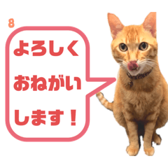 [LINEスタンプ] むぎくんです！