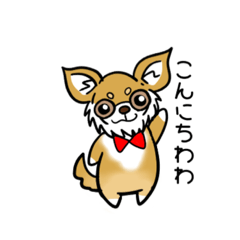 [LINEスタンプ] とにかくちわわ！