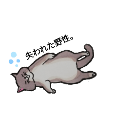 [LINEスタンプ] animal。