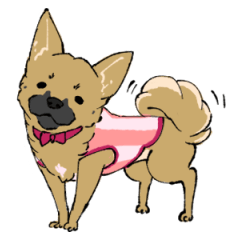 [LINEスタンプ] 黒マズルの雑種犬 クロハナさん