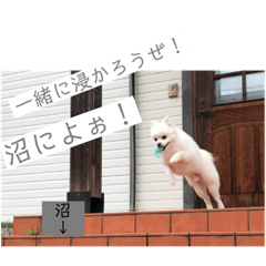 [LINEスタンプ] モカラニアン その3