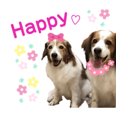 [LINEスタンプ] ほんわかエル＆シェリ♡シスターズ