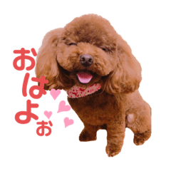 [LINEスタンプ] イヴちゃんスタンプーー