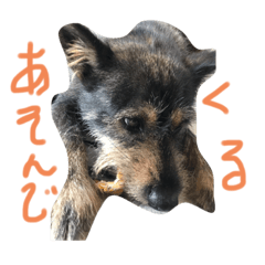 [LINEスタンプ] マル日常2