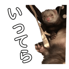 [LINEスタンプ] れったくんすたんぷ