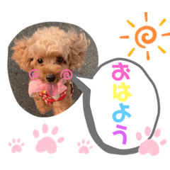 [LINEスタンプ] animals-6