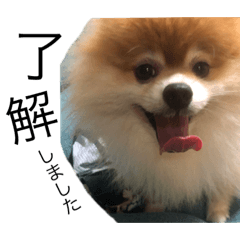 [LINEスタンプ] こばち