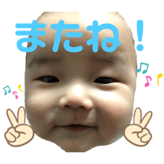[LINEスタンプ] 和たんスタンプ
