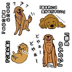 [LINEスタンプ] 愛しき我が家の大型犬の画像（メイン）