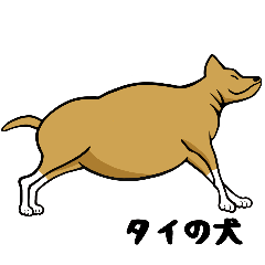 [LINEスタンプ] タイの野良犬