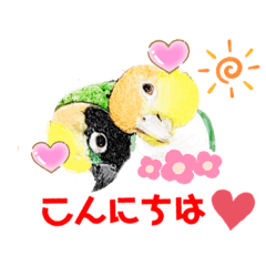 [LINEスタンプ] ニョオウインコとシロハラインコ3