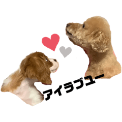 [LINEスタンプ] えいとらいる_1