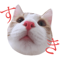 [LINEスタンプ] おいも3