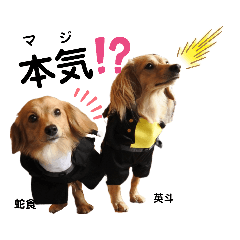 [LINEスタンプ] eito＆jack 2