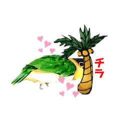 [LINEスタンプ] シロハラインコとニョオウインコ 1